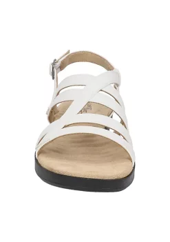 Easy Street Sales Shop -Easy Street Sales Shop Belk 883